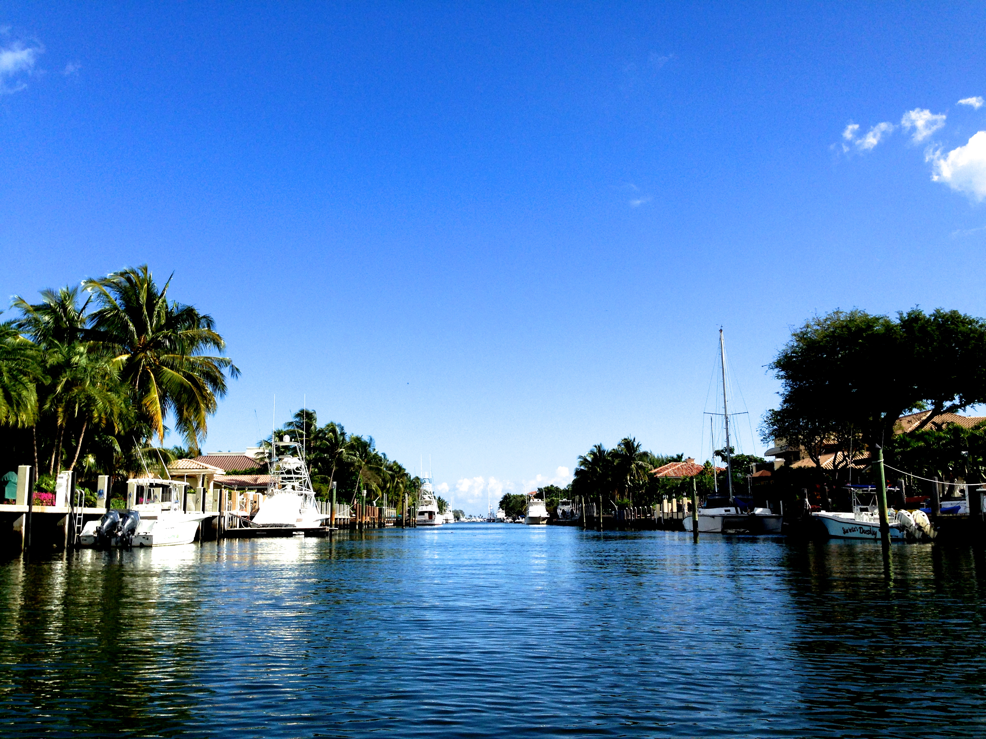 january-in-florida